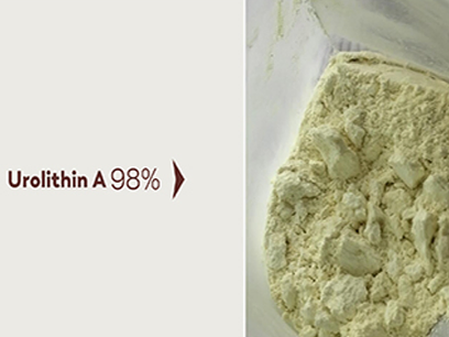 What Does Urolithin A Powder Do For You?